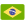 Brazil flag